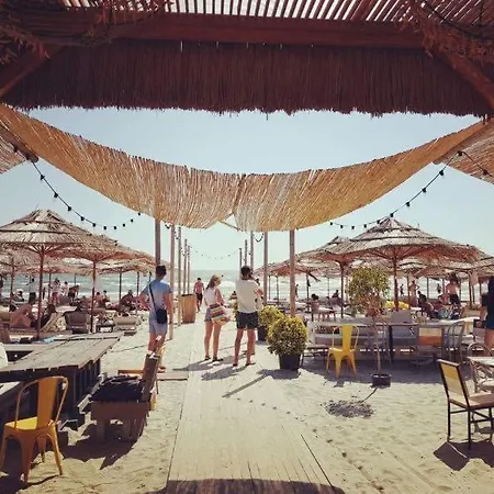 Mamaia North Blue Love Se2a
